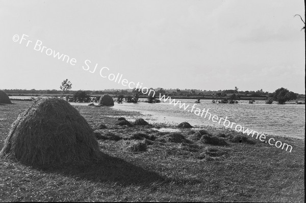 SALVING THE HAY FROM FLOODED FIELDS